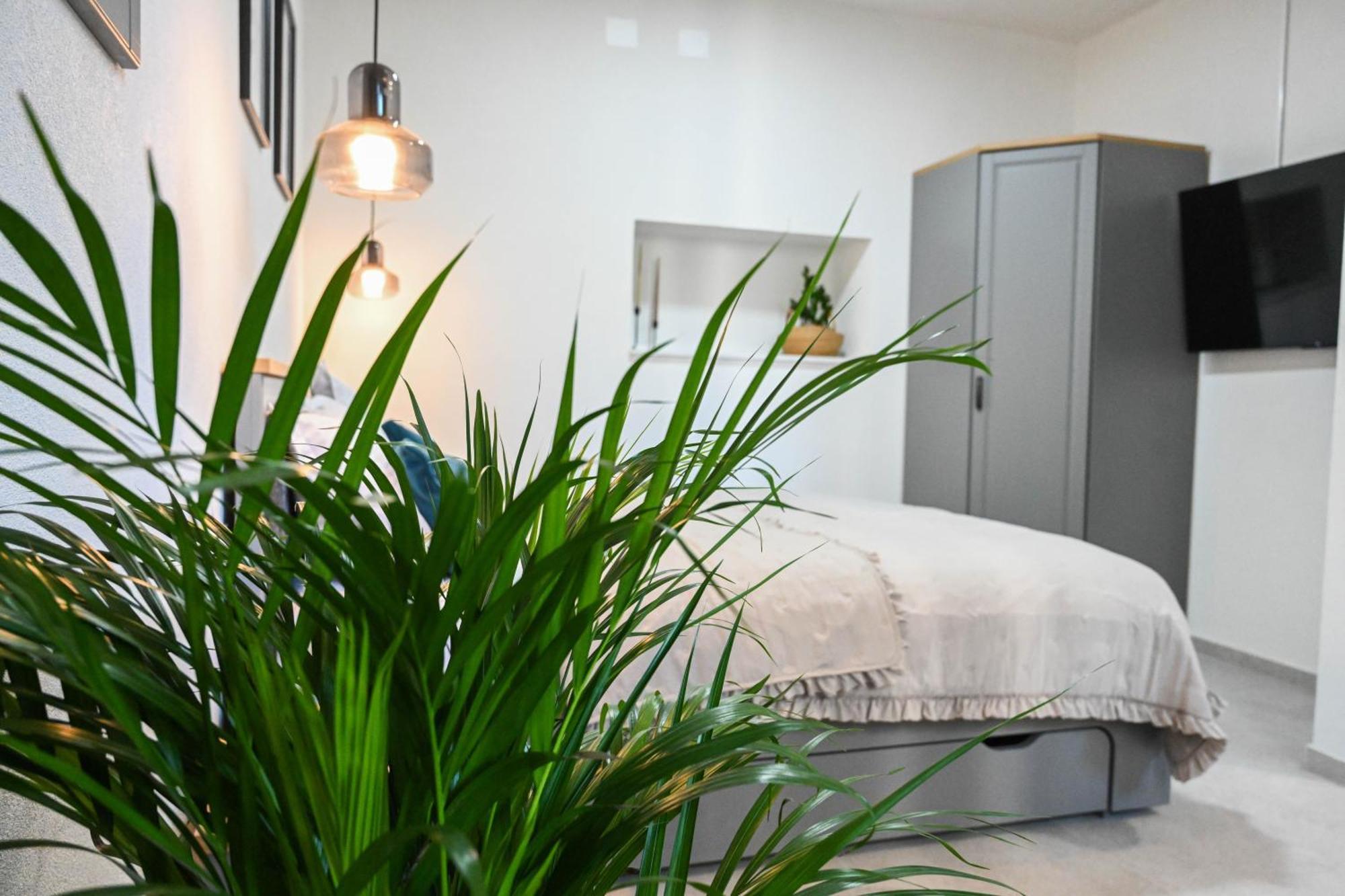4-star Design Bubamara * Zadar